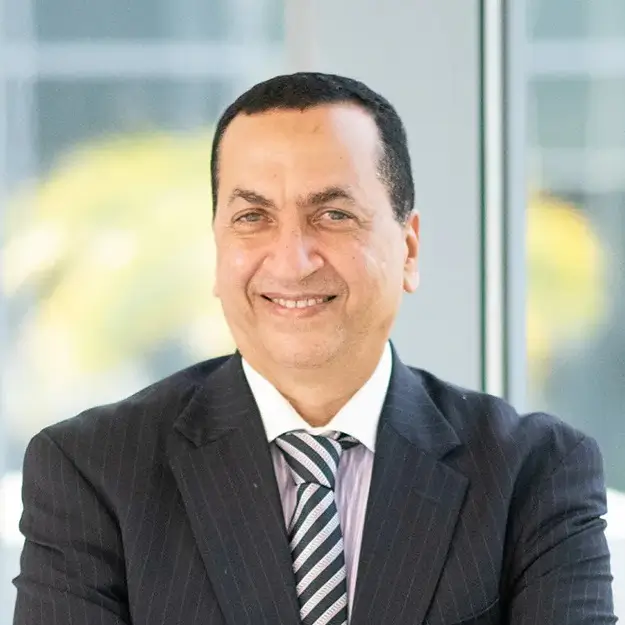 Dr. Abdelbasset Elessawy